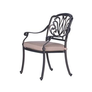 Arm Chair with Cushion