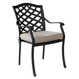 Dining Arm Chair with Cushion