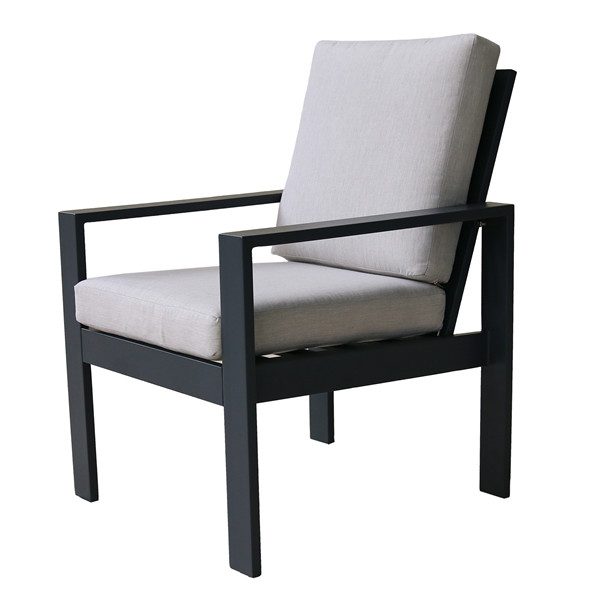 Dining Chair with Cushion