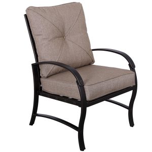 Dining Chair with Back and Seat Cushion