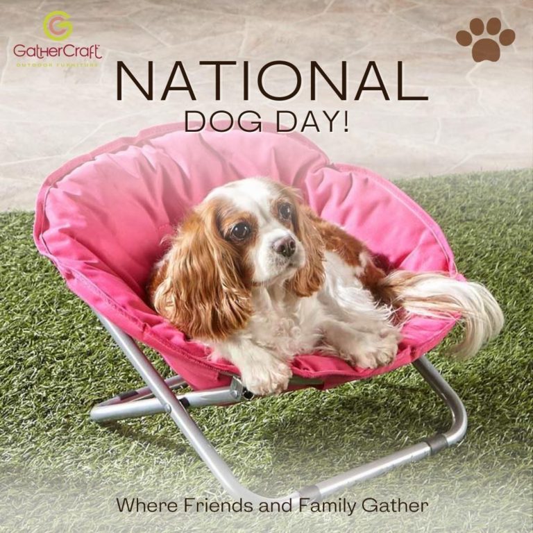 NATIONAL DOG DAY!